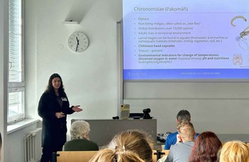 Presentation of Chironomid-Based Paleoecological Research at Zoological Days 2025