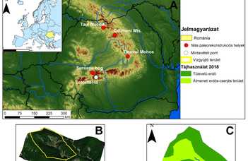 Chironomid-based summer temperature reconstruction in the South Carpathian Mountains over the last 2000 years