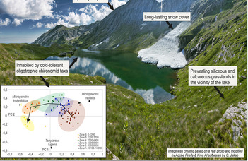 Unlocking Past Climate Secrets from a Romanian Mountain Lake