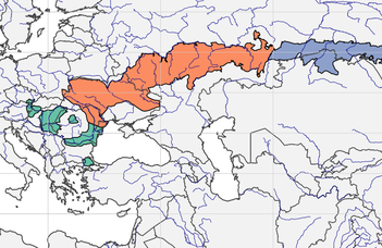 Eurasian forest-steppe zone – new publication