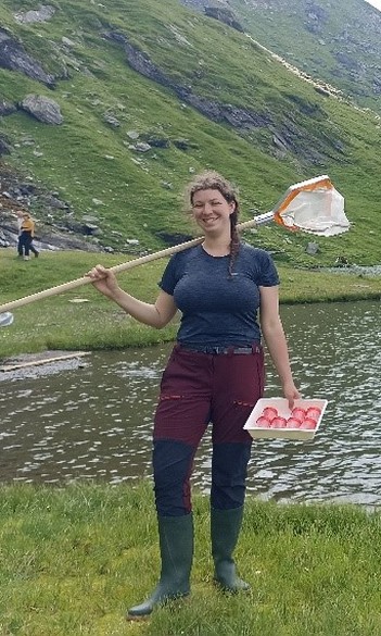 Investigating chironomid populations and aquatic biodiversity in alpine lakes in Romania