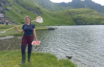 Investigating chironomid populations and aquatic biodiversity in alpine lakes in Romania