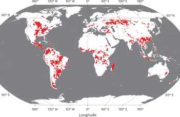 On ineffective and unjust climate policies